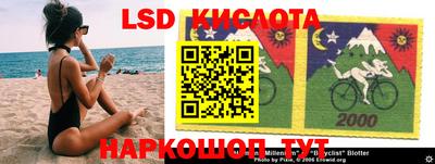 прущие грибы Гатчина