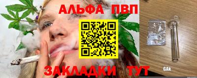 прущие грибы Гатчина