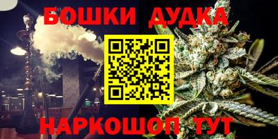 прущие грибы Гатчина