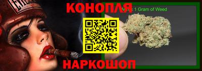 прущие грибы Гатчина