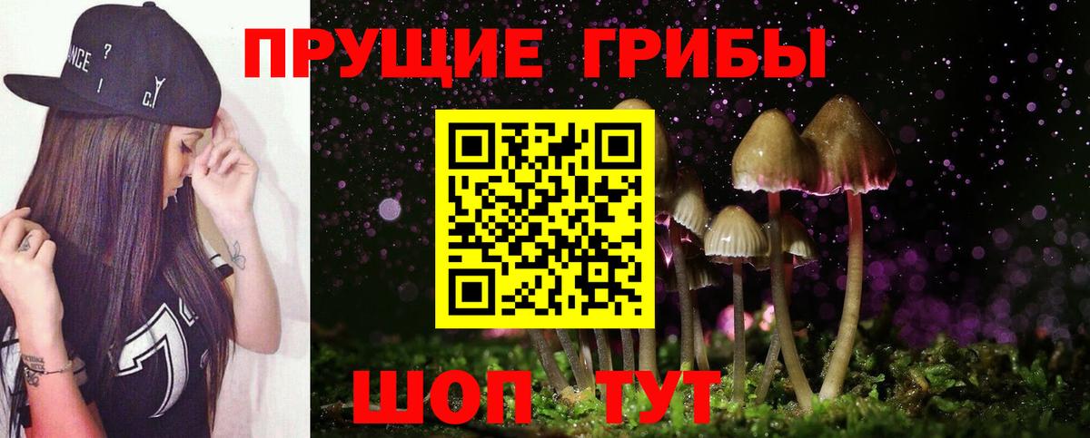 наркотики  Галлюциногенные грибы GOLDEN TEACHER  Вязники  Вход с VPN  Галлюциногенные грибы Psilocybine cubensis 